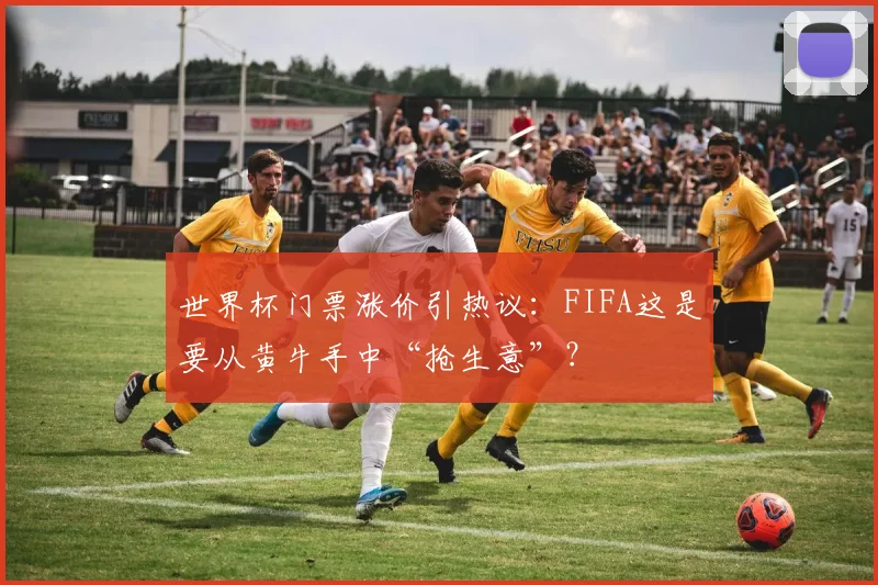 世界杯门票涨价引热议：FIFA这是要从黄牛手中“抢生意”？