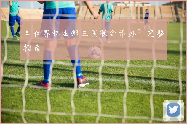 年世界杯由哪三国联合举办？完整指南